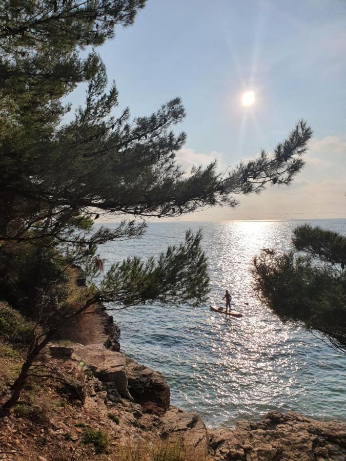 Amphitheater Apartment Pula Dış mekan fotoğraf