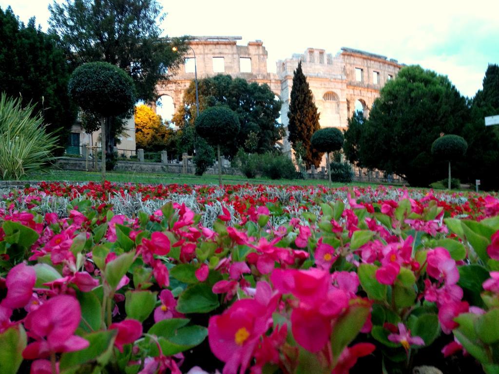 Amphitheater Apartment Pula Dış mekan fotoğraf